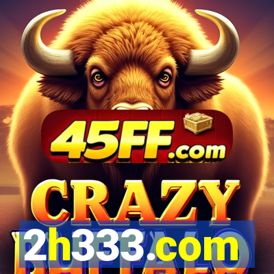2h333.com