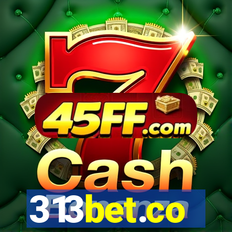 313bet.co