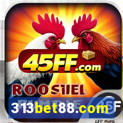 313bet88.com