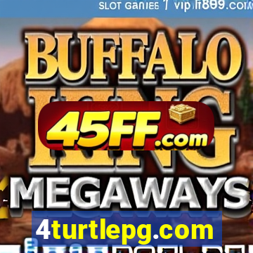 4turtlepg.com