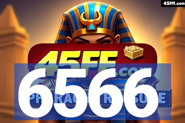 6566