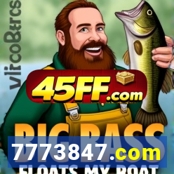 7773847.com