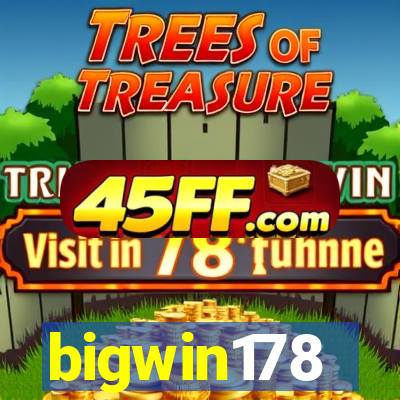 bigwin178