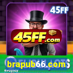 brapub66.com