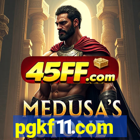 pgkf11.com