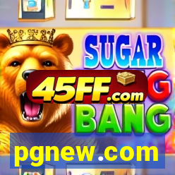 pgnew.com