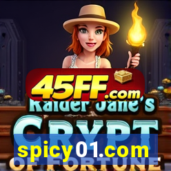 spicy01.com