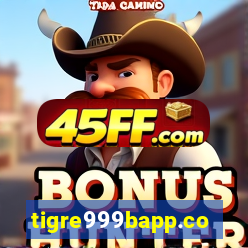 tigre999bapp.com
