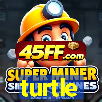 turtle-ty.com