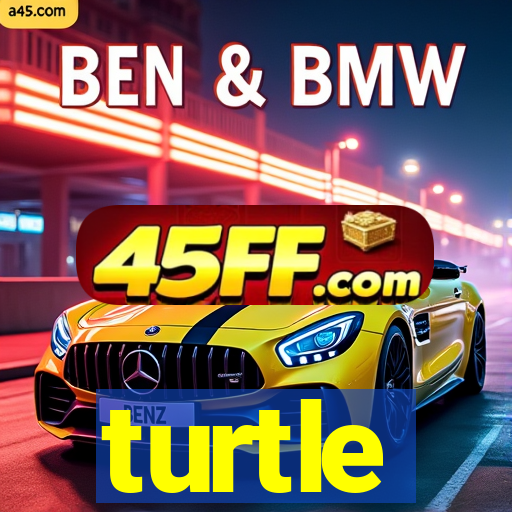 turtle-ty.com