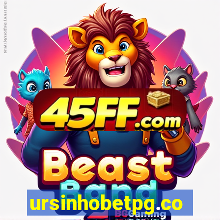 ursinhobetpg.com