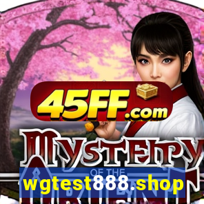 wgtest888.shop