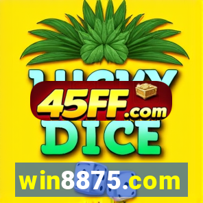win8875.com