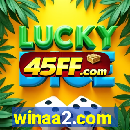 winaa2.com