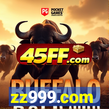 zz999.com